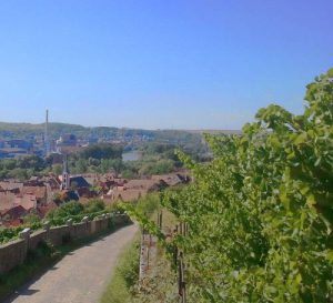 Blick ins Maintal - von Frickenhausen Richtung Ochsenfurt